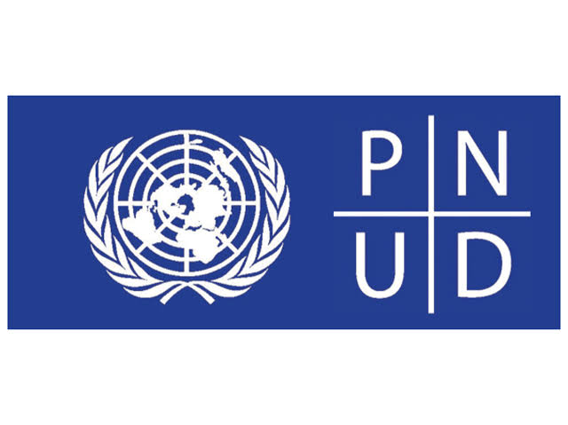 Logo PNUD